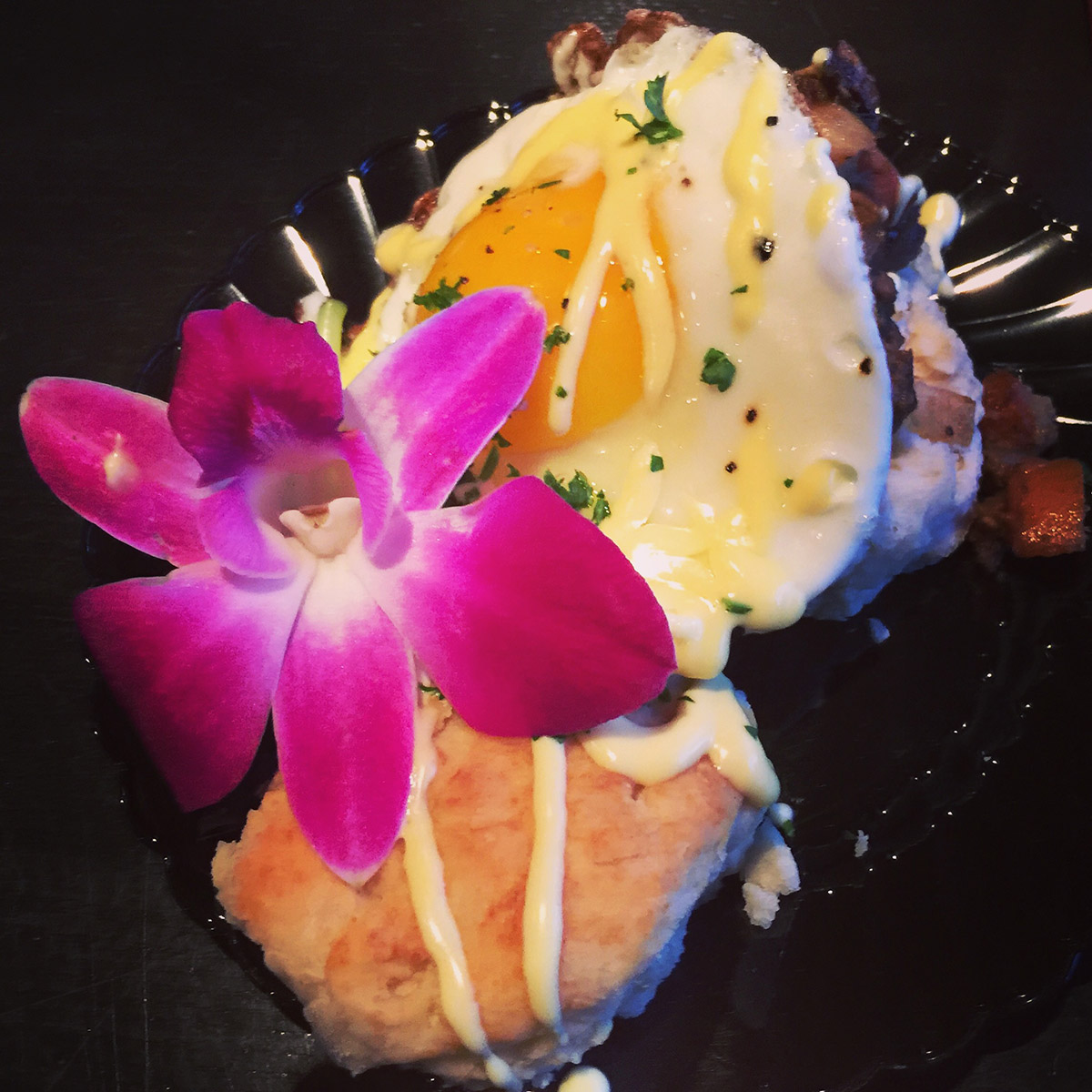 Cook-Off Sea Dog Brewing