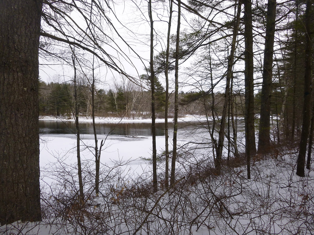 Sebago Lake State Park Winter