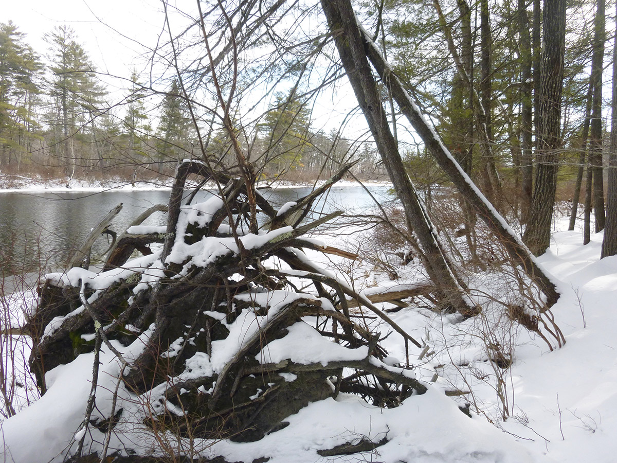 Sebago Lake State Park Winter