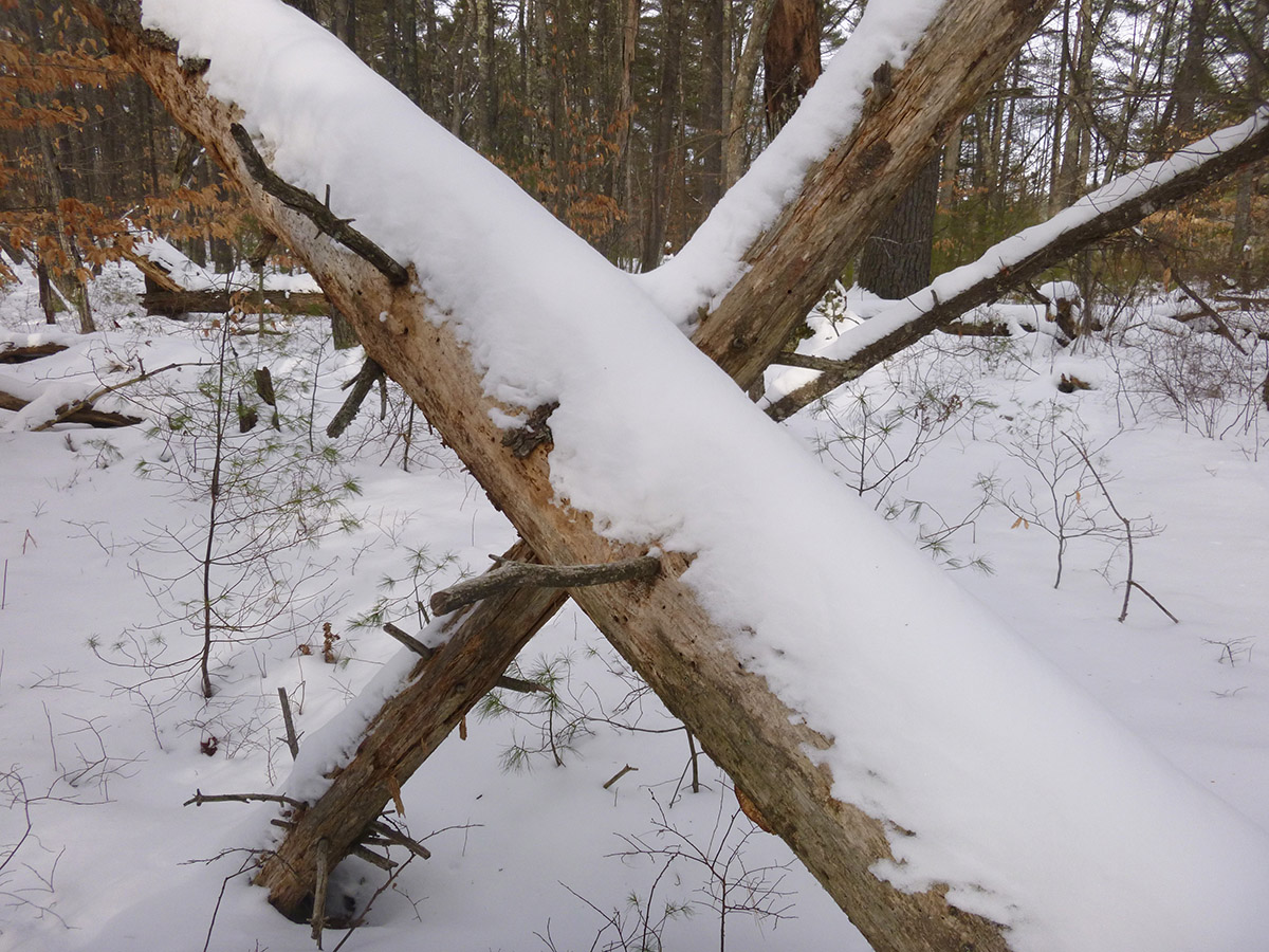 Sebago Lake State Park Winter