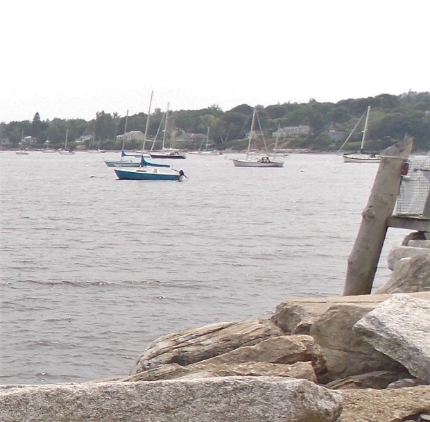 Youngs Lobster Pound