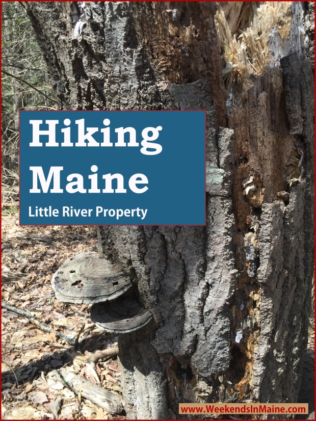 Little River Property | Gorham, Maine
