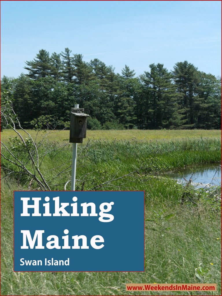 Hiking Swan Island for Father’s Day Weekends in Maine