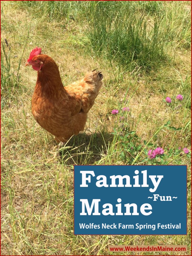 Wolfe's Neck Farm Spring Festival | Freeport, Maine