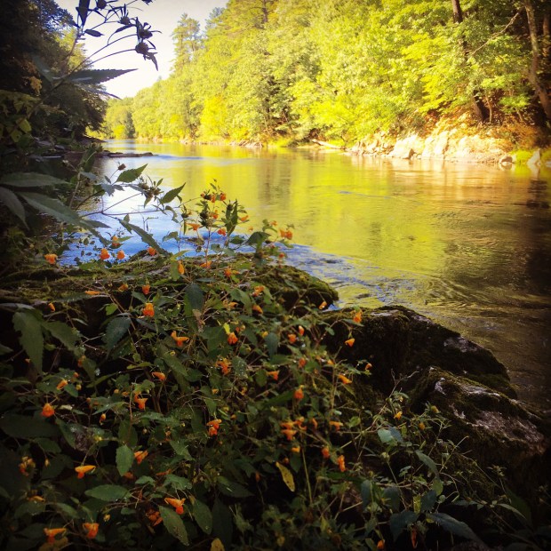 Presumpscot River Trail