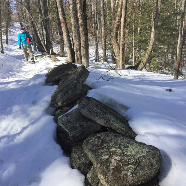 Bradbury Mountain (2)