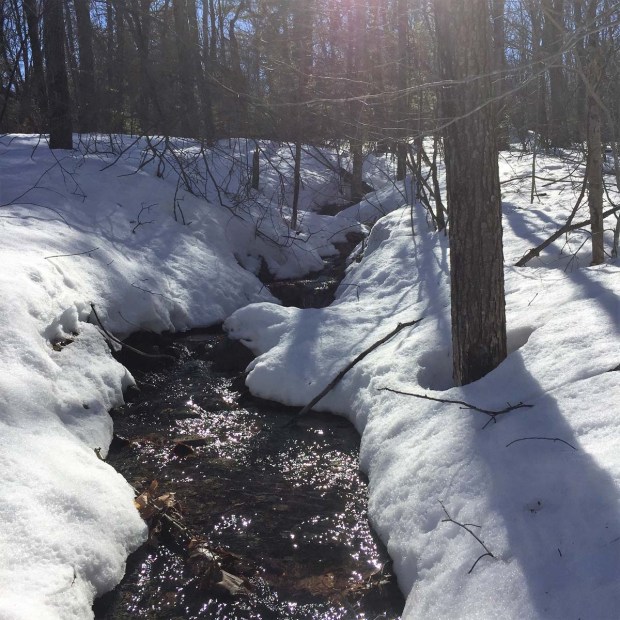 Bradbury Mountain (3)