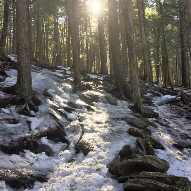 Bradbury Mountain (5)