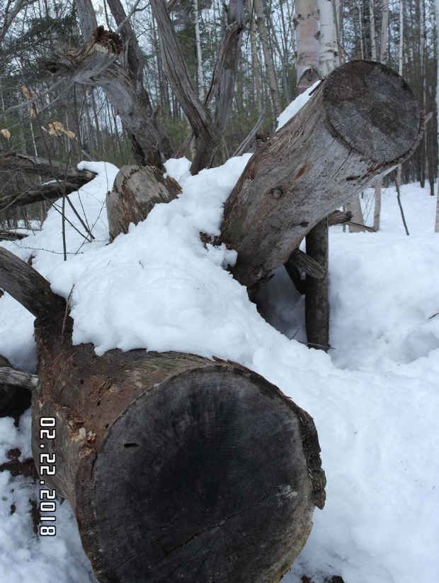 Noyes Trail in Norway
