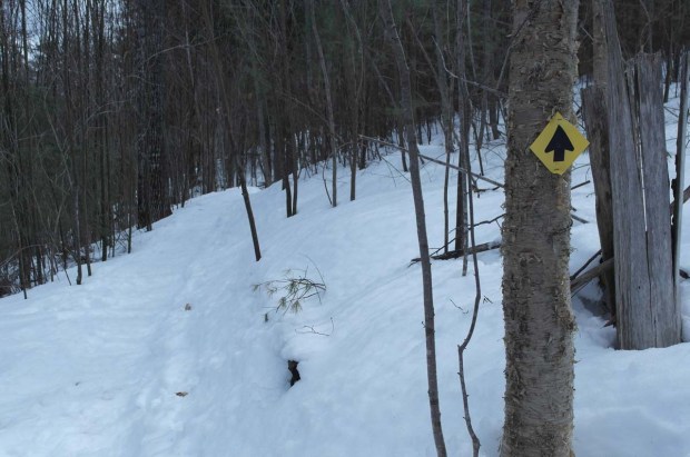 Noyes Trail in Norway