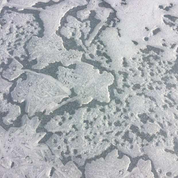 Winter Ice (7)
