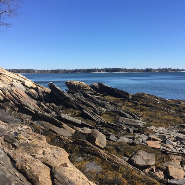 Wolfe's Neck State Park (1)