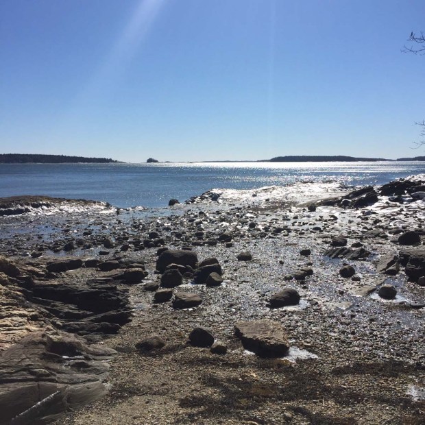 Wolfe's Neck State Park (2)