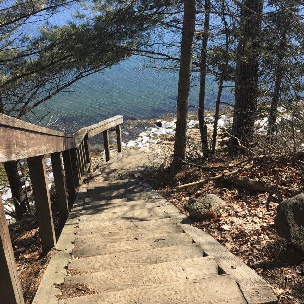 Wolfe's Neck State Park (7)