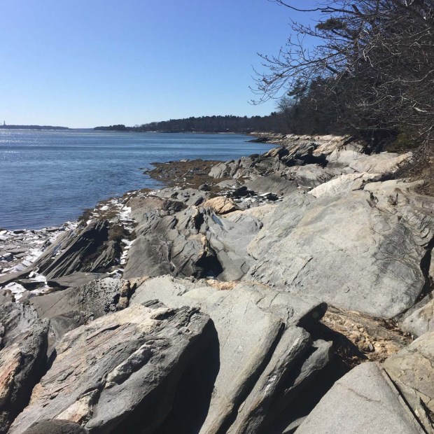 Wolfe's Neck State Park (8)